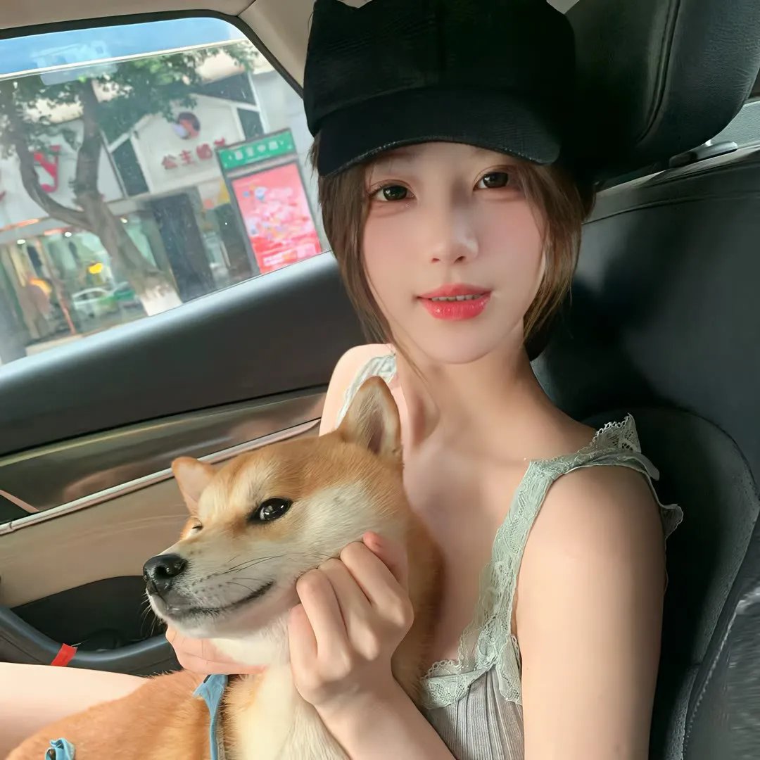 男人与流浪狗